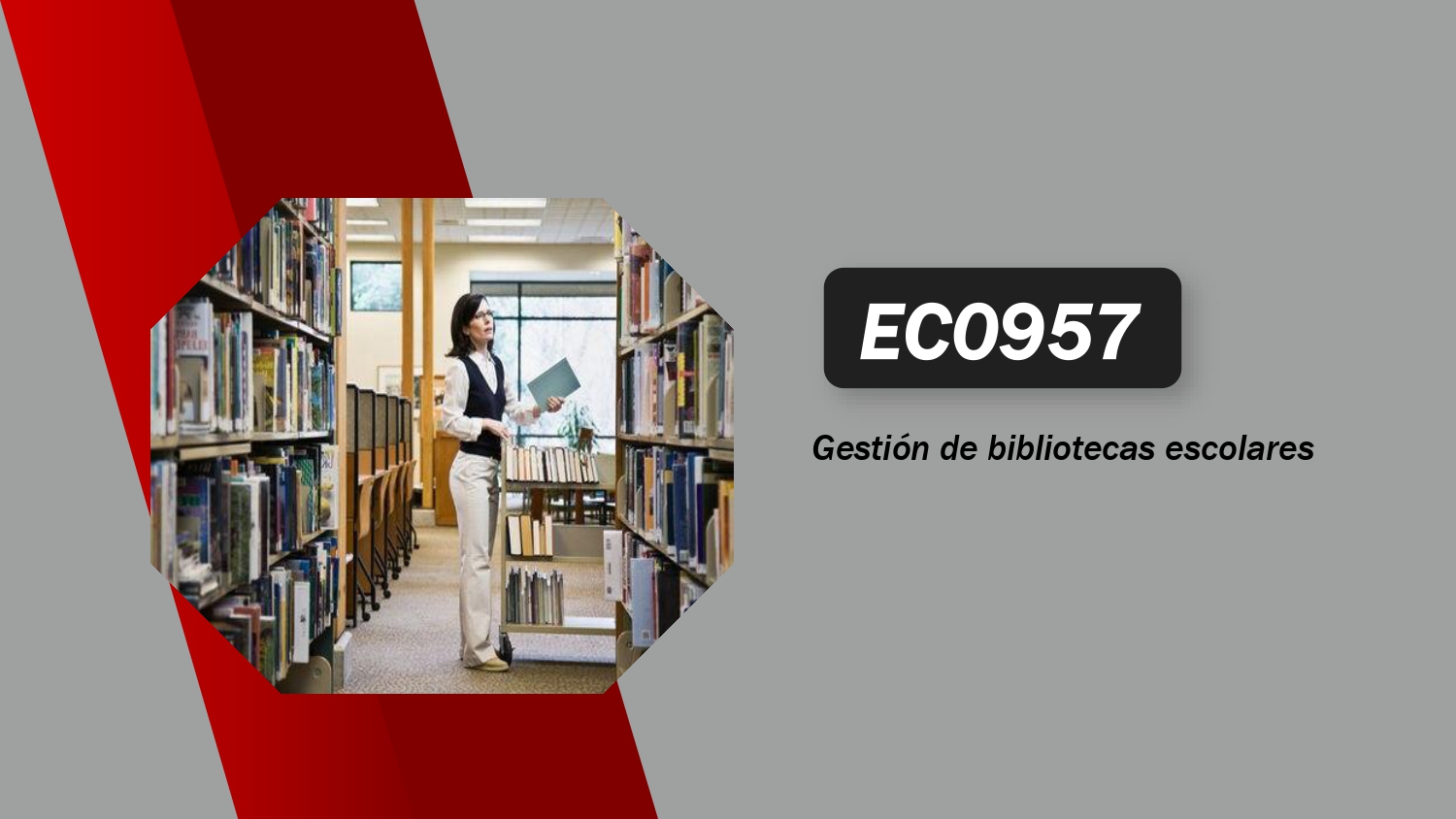EC0957 Gestión de bibliotecas escolares